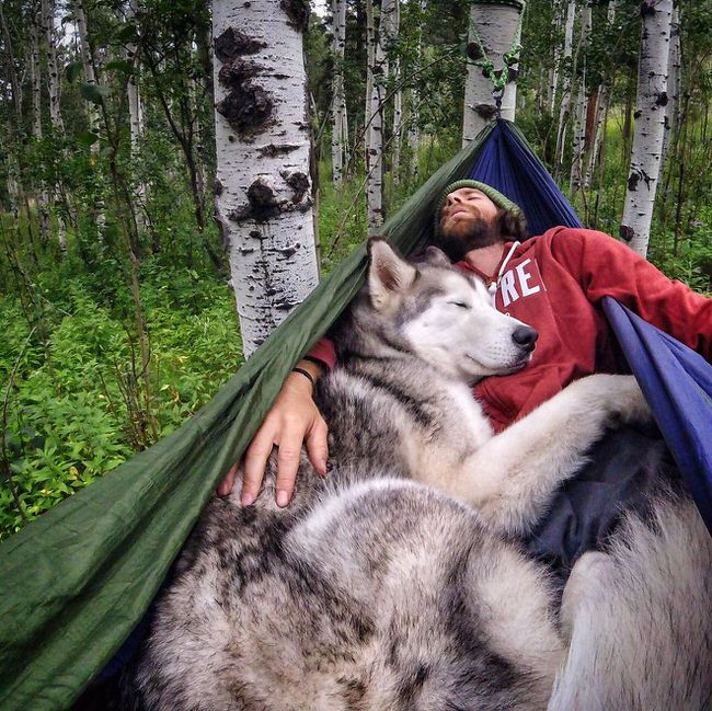 Man and his dog napping together
