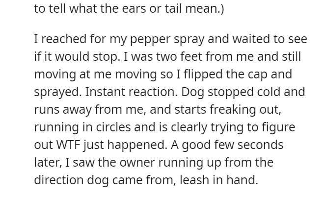 pepper sprayed the dog pepper sprayed the dog