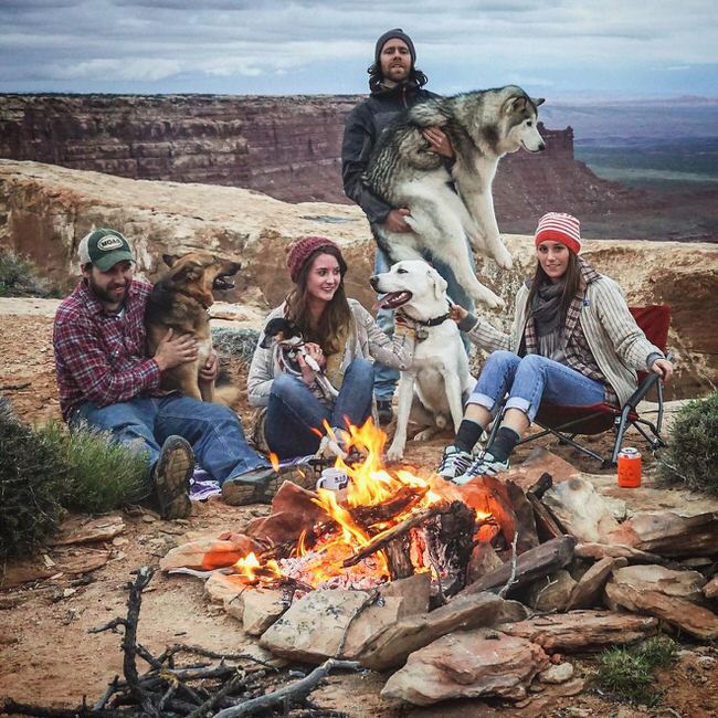 A group of friends with their dogs