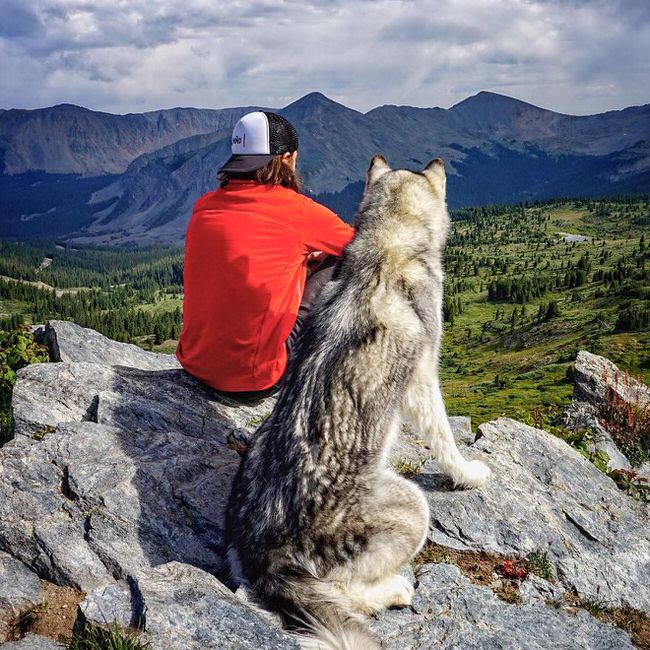 Man enjoying the view with his dog