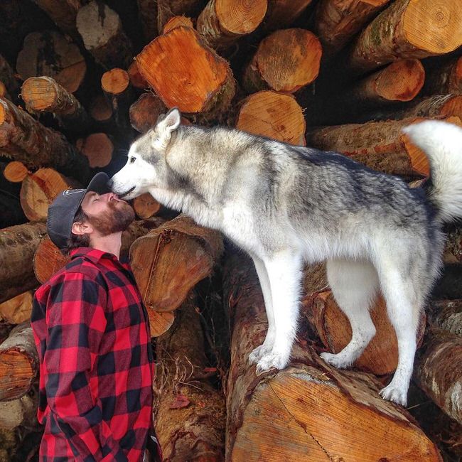Dog licking it's owner's face