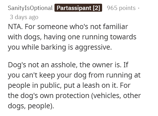 Put a leash on it