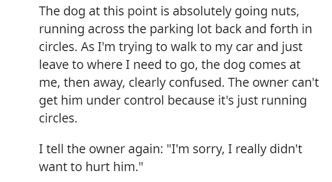 The dog goes nuts The dog goes nuts