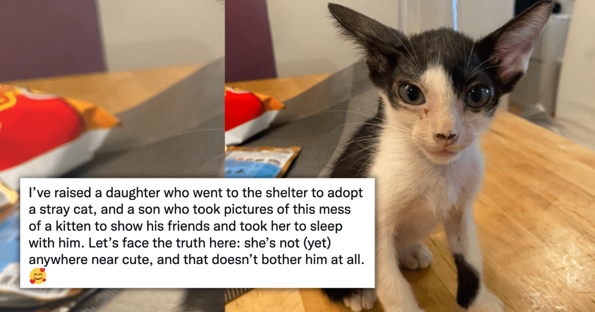 20 Heartwarming Stories Of Cat Owners Who Adopted The Un-Adoptable