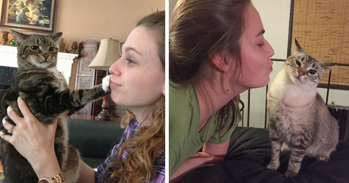 30 Hilarious Photos Of Cats Who Have Been Victim To Non-Consensual Cuddles