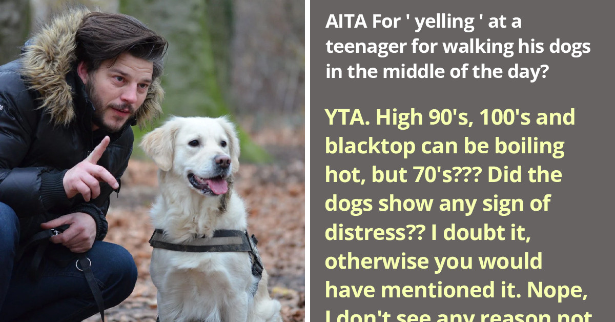 Entitled Woman Yells At A Teenager For Taking His Dogs Out Midday, Tries To Justify Her Actions, Gets Bashed Online