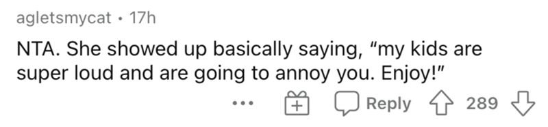 17h-nta-she-showed-up-basically-saying-my-kids-are-super-loud-and-are-going-annoy-enjoy-qreply-289