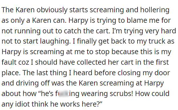 The-karen 