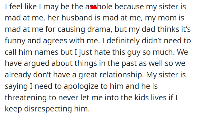 AITA for calling my sisters husband useless