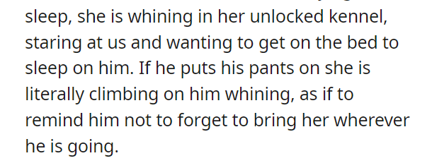 AITA for refusing to run errands with him because he wouldn't leave his dog home
