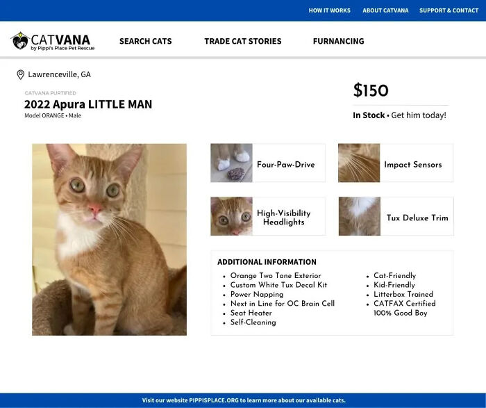 Apura-little-man-