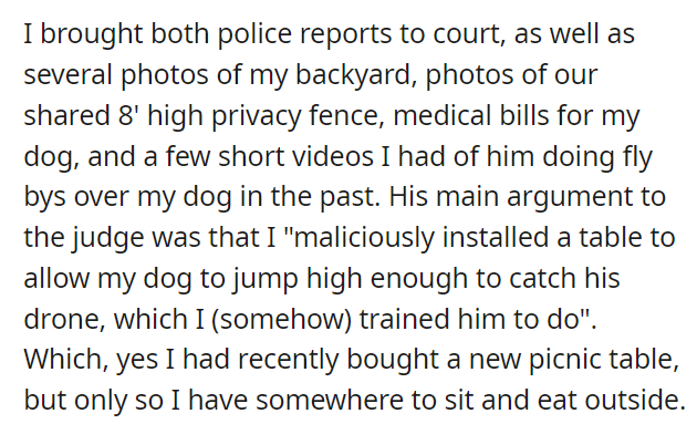 Dog ate my Neighbor's Drone - Am I liable? (IL)