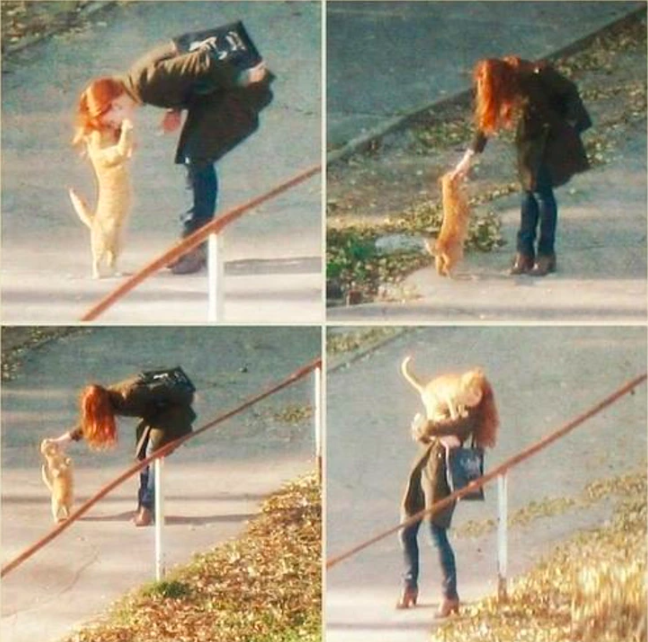 cat and girl