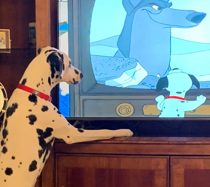 dog-cartoon