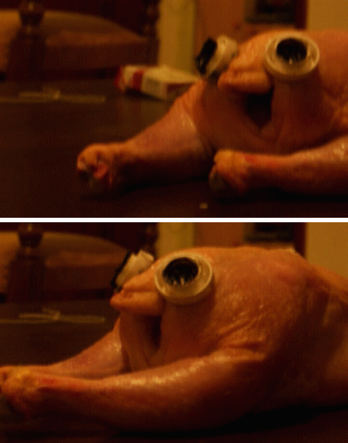 dressed-chicken-funny-transformation