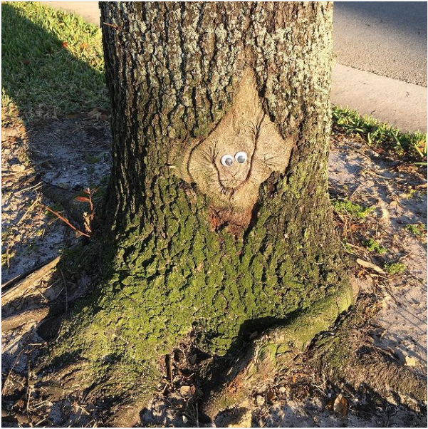 happy-tree