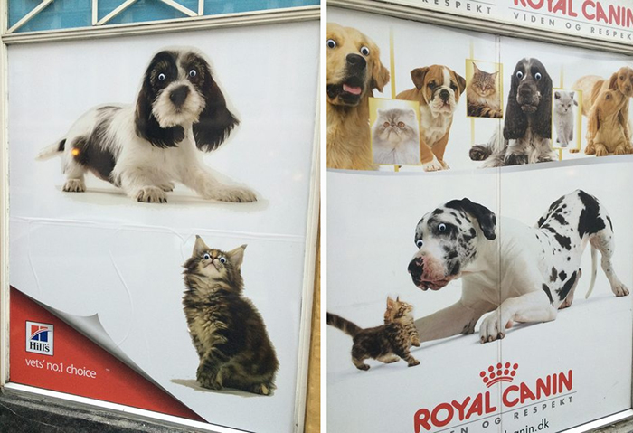 local-pet-store-hilariously-vandalized