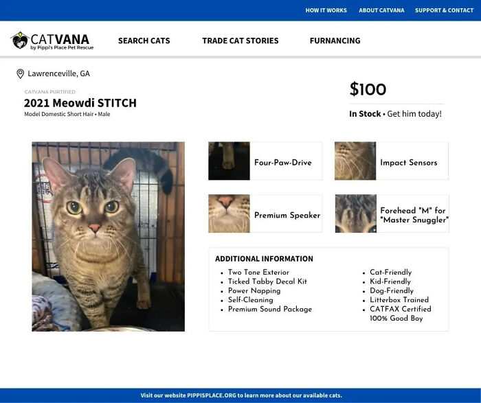 meowdi-stitch-