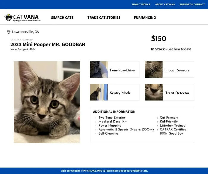 mini-pooper-