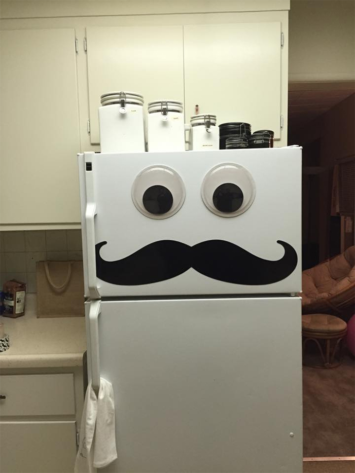 mister-fridge-with-moustache