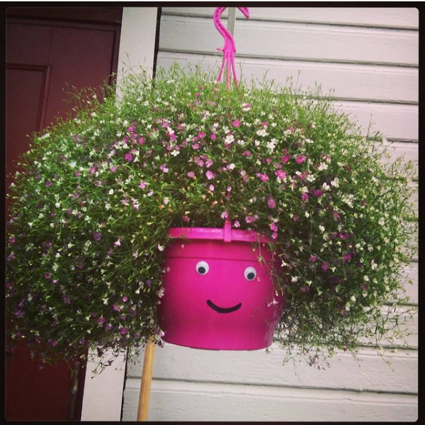plant-hair