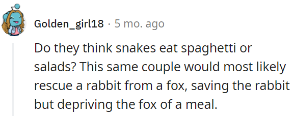 saving-the-rabbit