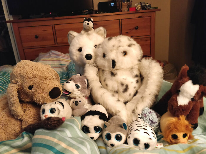 stuffed-toys