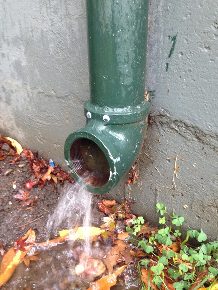 water-drain-pipe-with-googly-eyes