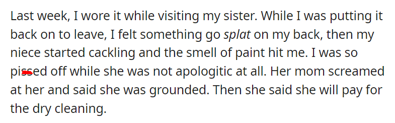 AITAA for taking my niece to court over a coat