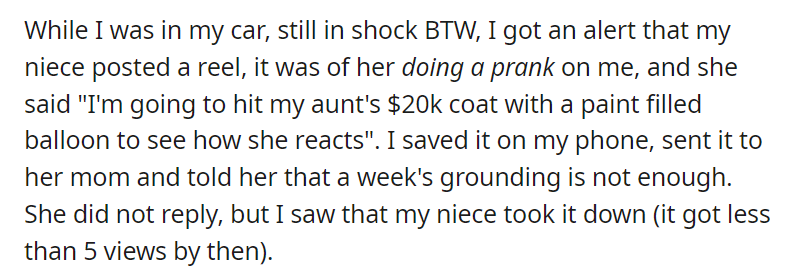 AITAA for taking my niece to court over a coat