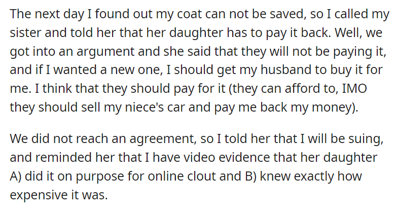 AITAA for taking my niece to court over a coat