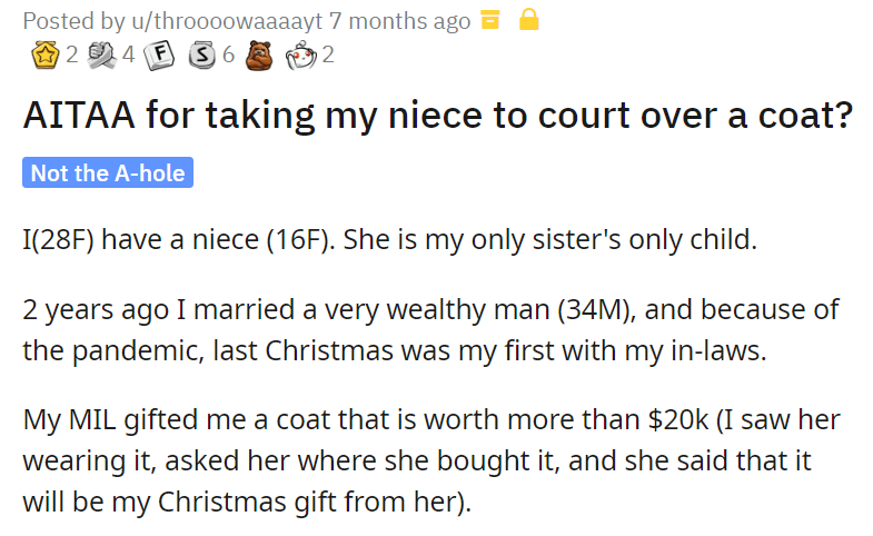 AITAA for taking my niece to court over a coat