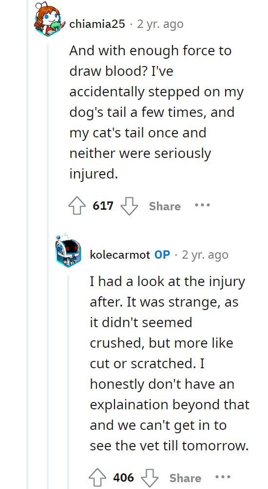 Lady Mistakes my Parents as Employees, and Stomps on Mom's Service Dog's Tail.