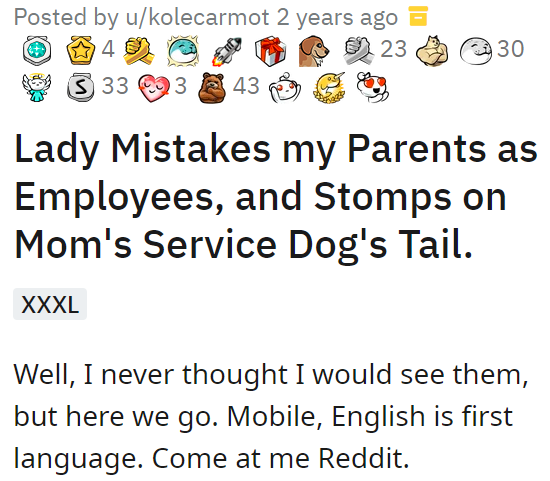 Lady Mistakes my Parents as Employees, and Stomps on Mom's Service Dog's Tail.
