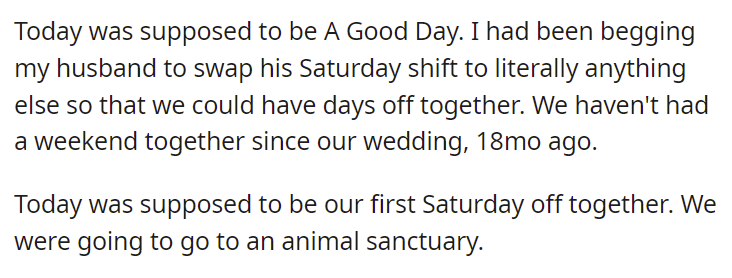 animal-sanctuary-