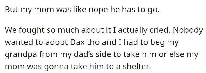 take-him-to-a-shelter-
