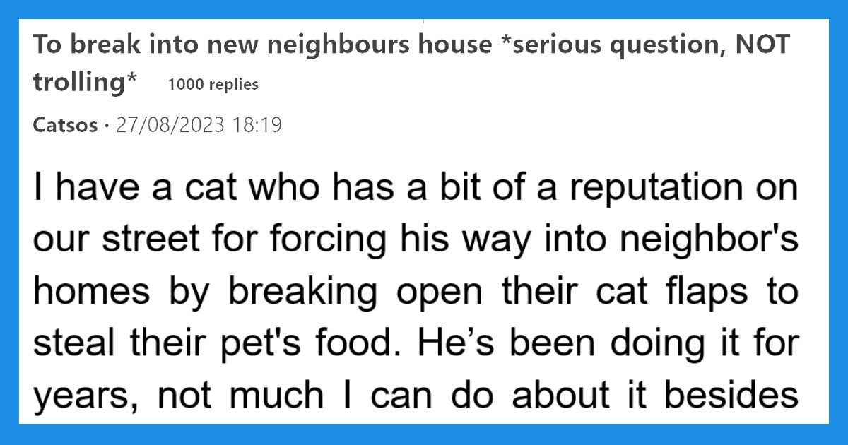 Cat stuck neighbors house