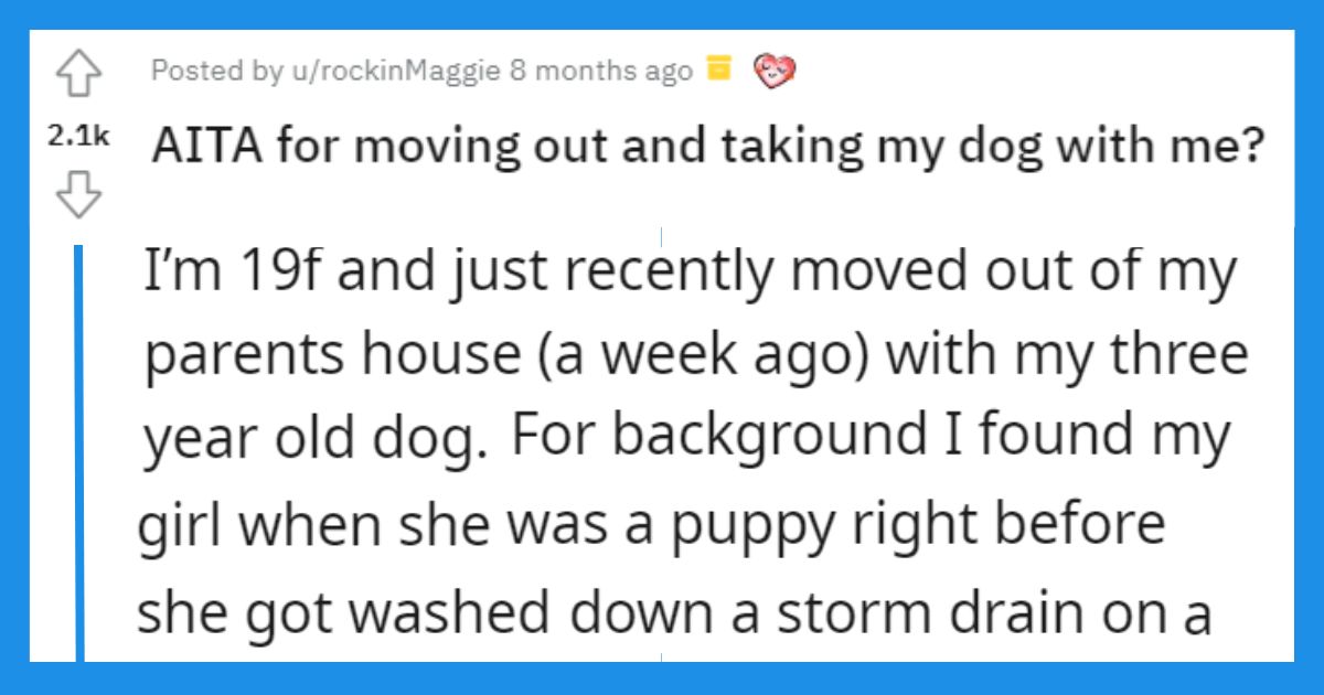 Move out with dog