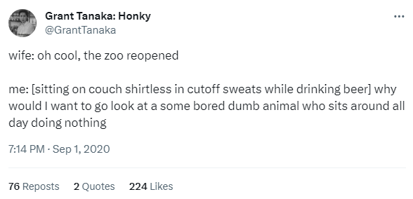 bored-dumb-animal-