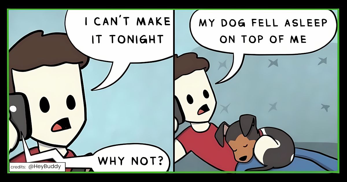 dog-comics-featured