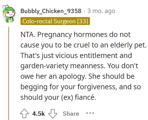 elderly-pet-