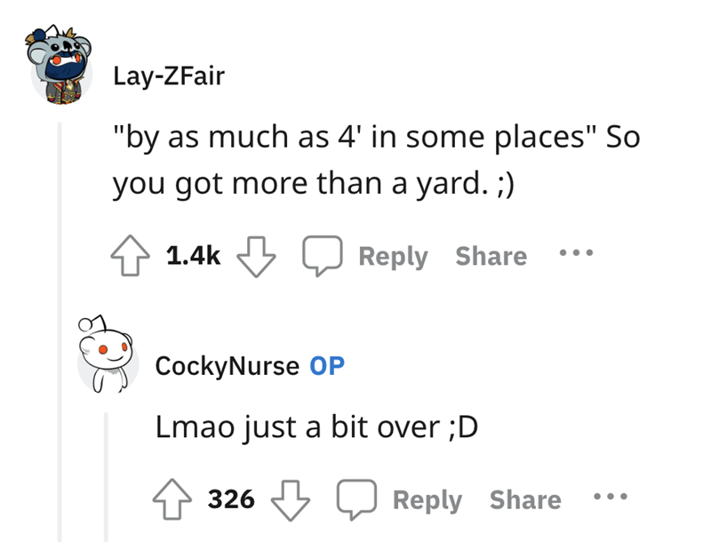 more-than-a-yard-