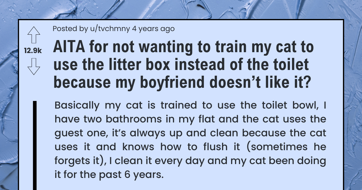 not-wanting-to-train-my-cat