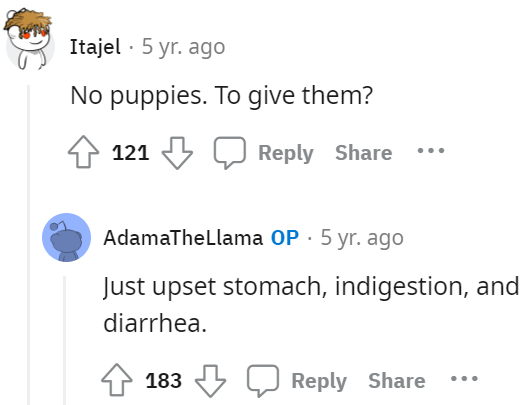 no-puppies-