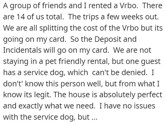 service-dog-