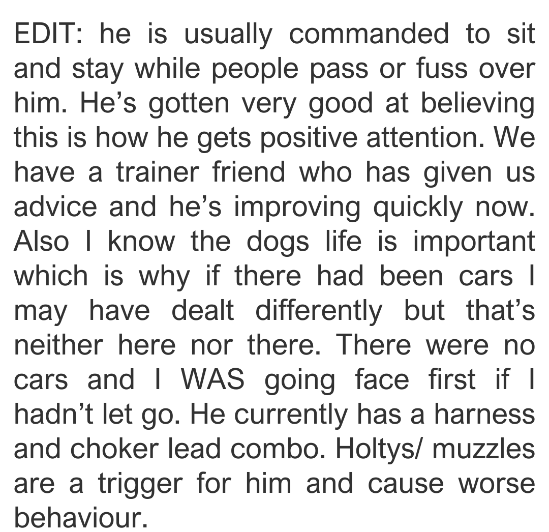 large-dog-7