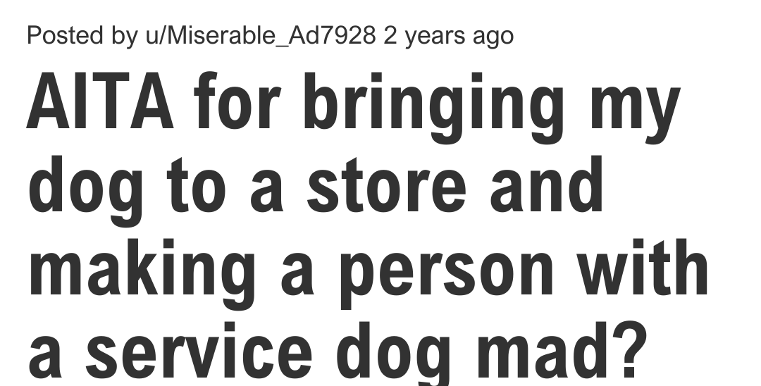 service-dog-