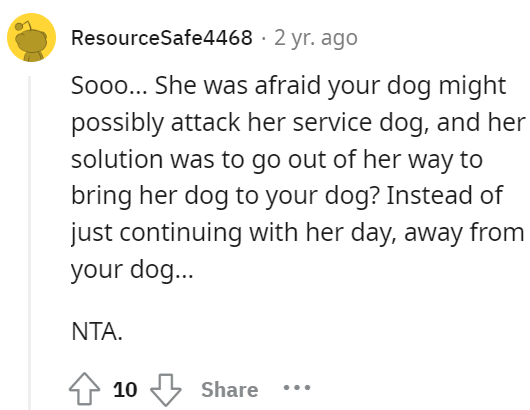 service-dog-11