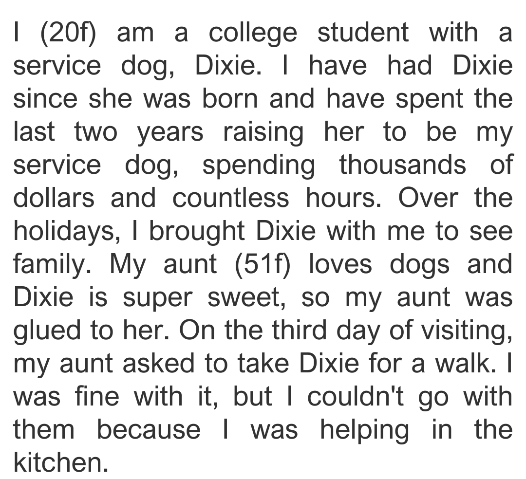 service-dog-2-min