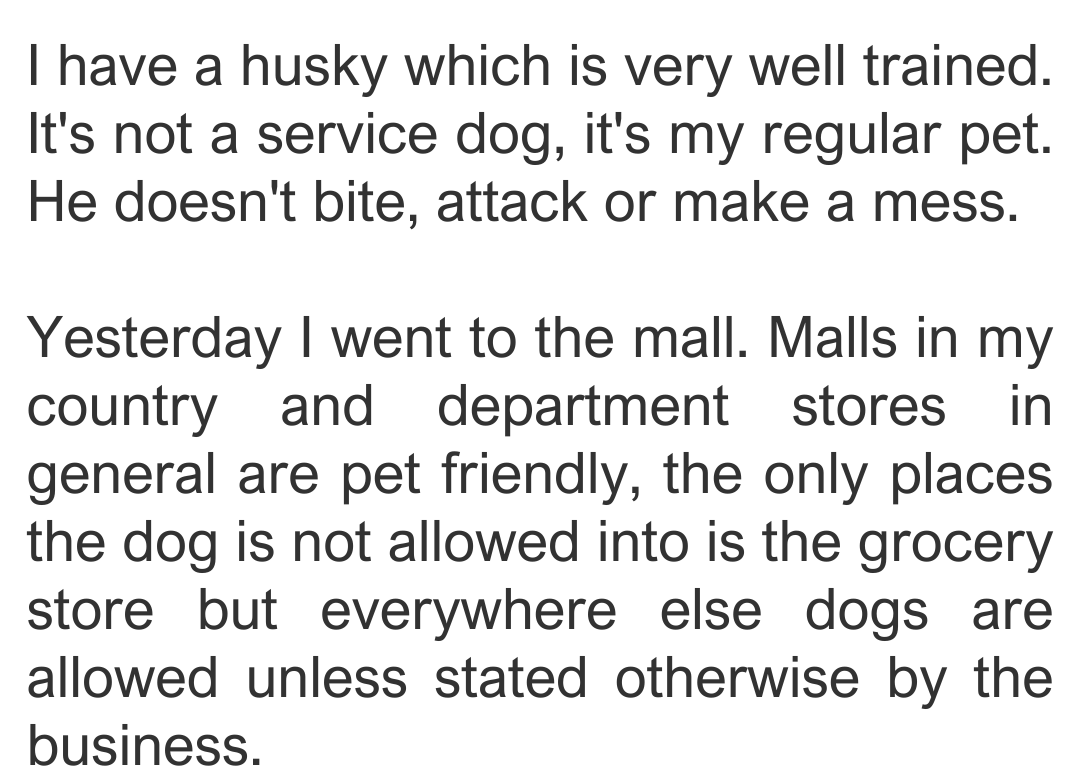 service-dog-2